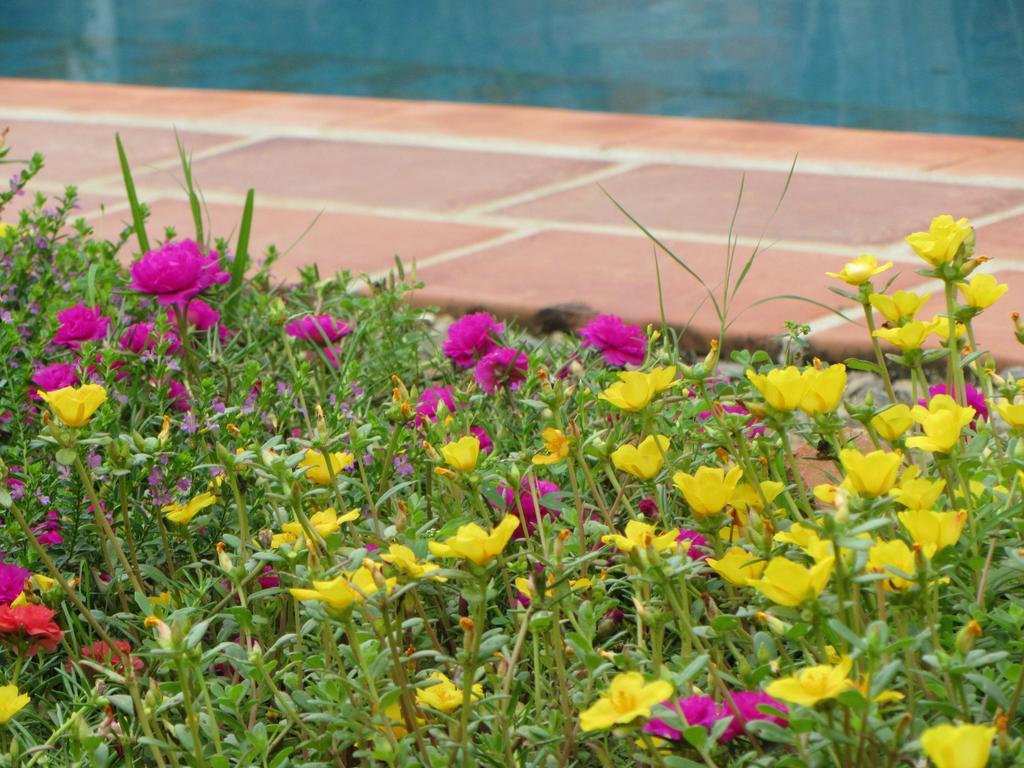 Bed and Breakfast La Colorada Zacualpan Exterior foto