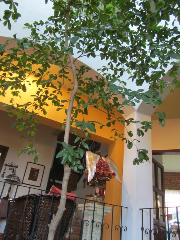 Bed and Breakfast La Colorada Zacualpan Exterior foto